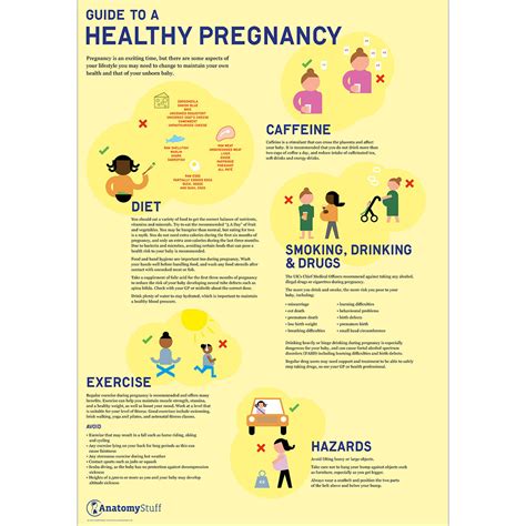 Guide to a Healthy Pregnancy Poster | Antenatal Education Chart