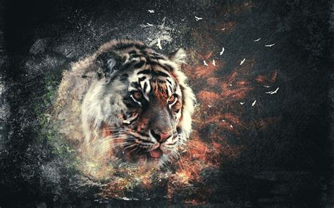 3d HD Tiger Wallpapers - Wallpaper Cave