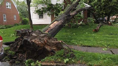 GALLERY | Storm damage across Central Pa. after severe thunderstorms | WHP