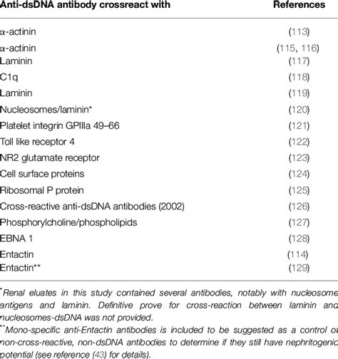 Examples of anti-dsDNA antibodies that cross-react with non-DNA ...