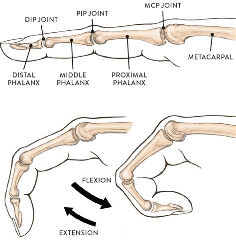 RIGHT: Pronation