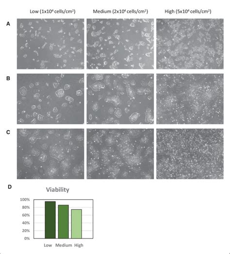 Cell seeding density. iPSCs were seeded at three different cell ...