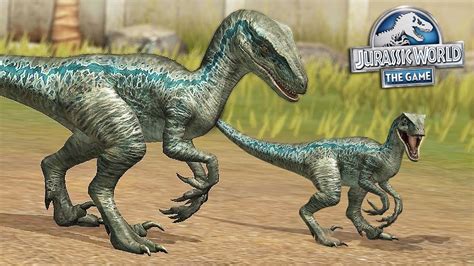 Jurassic World Dominion: Blue Beta Velociraptor RealBig Officially Licensed NBC Universal ...