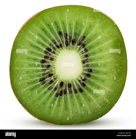 Fresh kiwi fruit cut in half isolated on white background. Clipping Path. Full depth of field ...