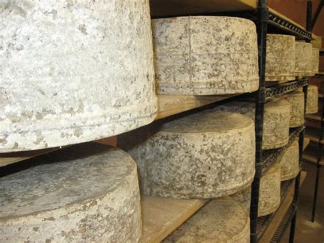 Raw Milk Cheese – Cheese Underground