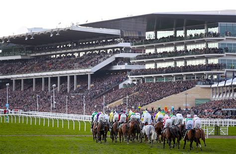 Racing Cheltenham Festival could be a five-day event in 2023 | Morning Star