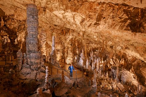 50 Breathtaking Postojna Cave Photos To Inspire You To Visit Slovenia