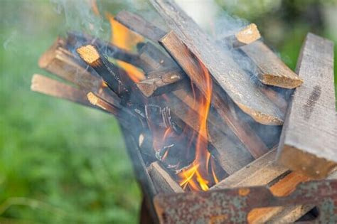 How To Identify Firewood? Here’s Our Guide!