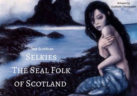 Selkies: the Seal Folk of Scotland - The Scottican