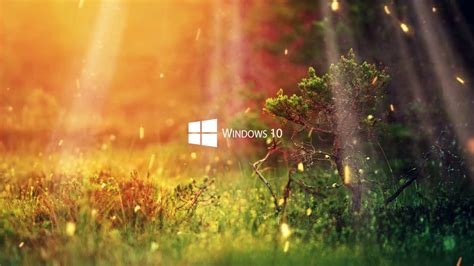 Live wallpaper windows 10 download - paseyou