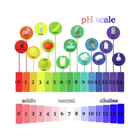 Ph Scale Photograph by Inna Bigun/science Photo Library