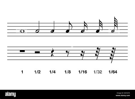 Standard note values and rests in western music notation. The relative duration of a note and ...