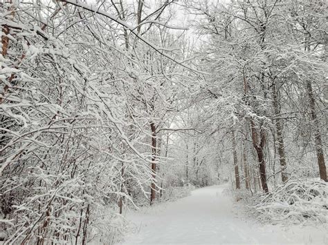 Photo gallery: Snow day in Michigan