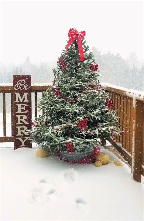 How to Decorate an Outdoor Christmas Tree - Fresh Eggs Daily® with Lisa ...