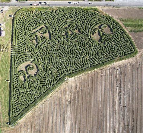 Corn mazes growing more elaborate | Corn maze, Maze design, Maze