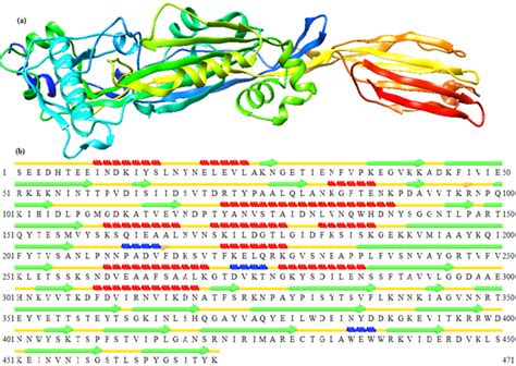 The three dimensional structure of streptolysin-O generated by homology... | Download Scientific ...