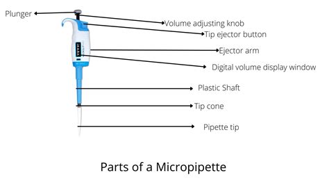 Micropipette Introduction Types And Usage Guide, 46% OFF