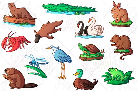 Wetland Animals Clip Art By Keepin' It Kawaii | TheHungryJPEG