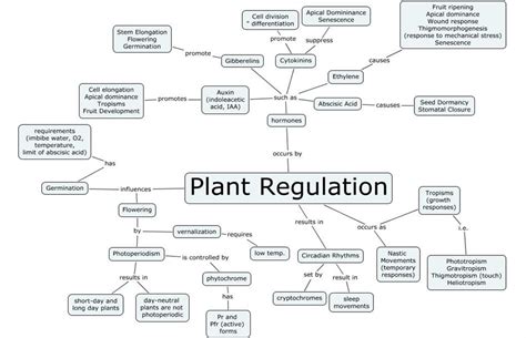 Mind map — lesson. Science State Board, Class 10.