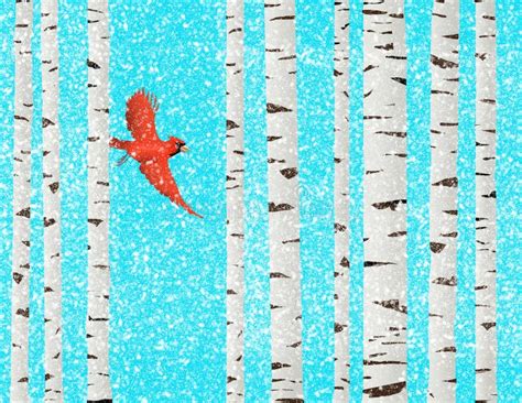 A Red Cardinal Bird is Seen Flying among Paper Birch Trees Stock Illustration - Illustration of ...