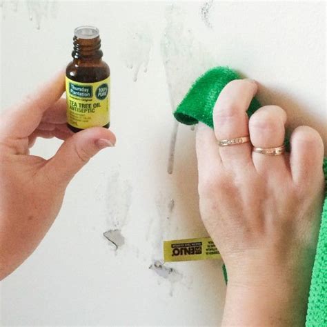 How To Clean Walls | Cleaning walls, House cleaning tips, Cleaning hacks