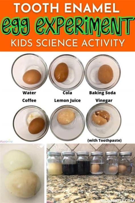 Tooth Decay Eggshells Experiment | Mombrite