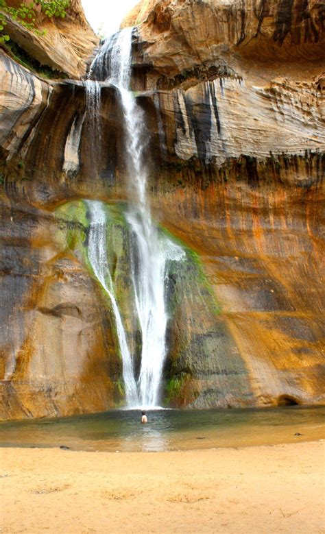 Calf Creek Falls hike in Escalante is quite possibly the most ...