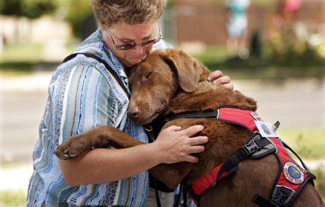 How Dogs Help Humans Information