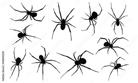 Black widow spider Silhouette vector illustration Stock Vector | Adobe Stock