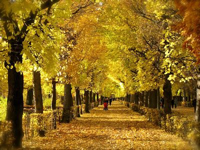 martha's vienna: Schönbrunn Palace Gardens in Autumn