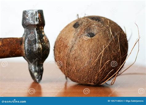 A Coconut Lies Broken Open with the Hammer Nearby. Stock Photo - Image of diet, gourmet: 105714824