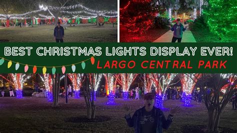 LARGO CENTRAL PARK CHRISTMAS LIGHTS 2020 / HOLIDAY LIGHTS IN LARGO CENTRAL PARK / FLORIDA ...