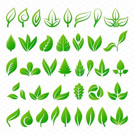 Leaf icons vector illustration | Leaf illustration, Tree logo design, Eco logo design