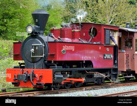 Narrow gauge steam locomotive Stock Photo - Alamy