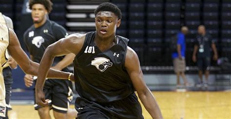 Zion Williamson takes over top spot in 247Sports’ 2018 basketball player rankings | USA TODAY ...