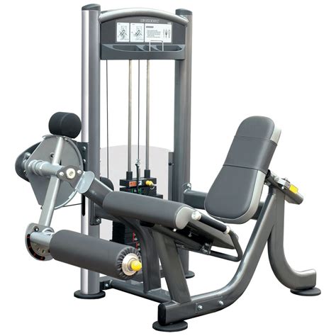 Gym Equipment Names and Pictures: Leg Extension Machine