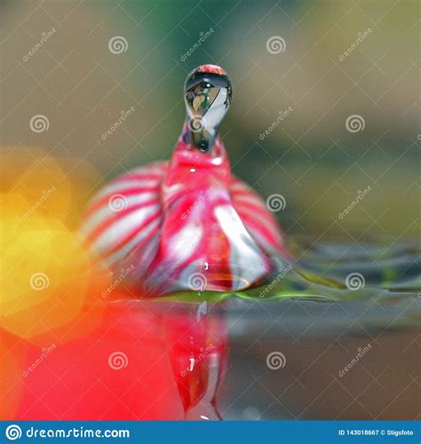 Macro shot of water drops. stock image. Image of droplets - 143018667