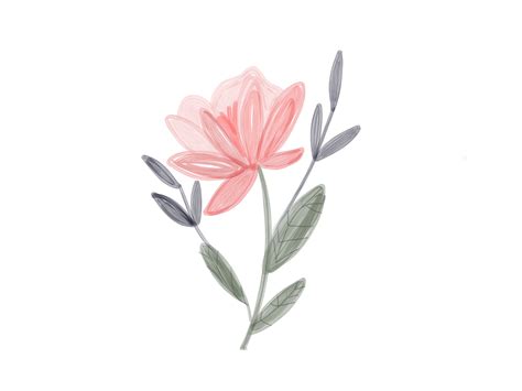 Cute illustrated pink flower | Flower drawing, Cute flower drawing, Flower illustration