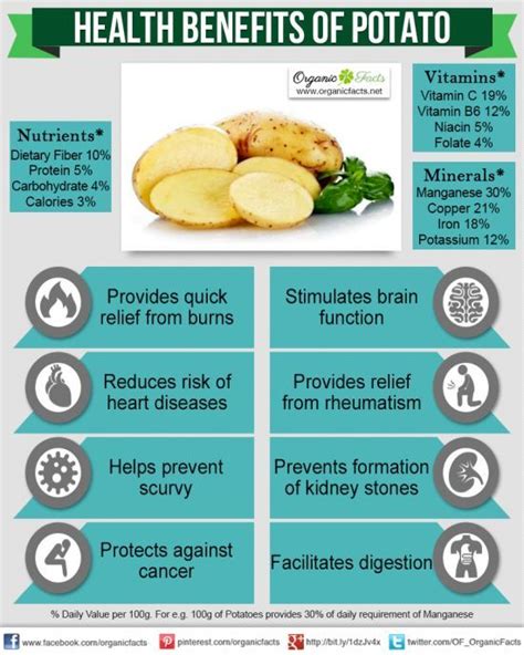 Health Benefits of Potatoes | Nikki Kuban Minton