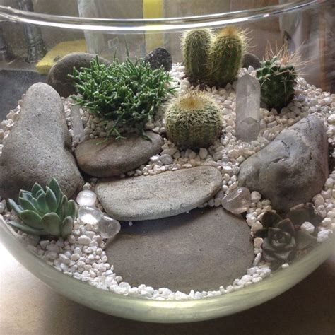 My cacti terrarium. in 2020 | Diy succulent terrarium, Cactus terrarium, Succulent terrarium