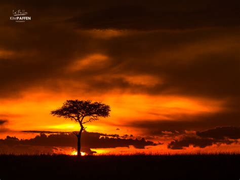 What is a sundowner on safari in Africa?