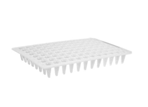 PCR-96-LP-FLT-C | Axygen® 96-well Polypropylene Flat Top PCR Microplate, Low Profile, No Skirt ...