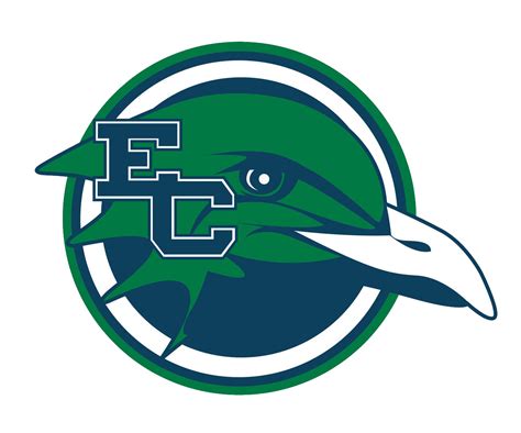 Endicott College Gulls Hockey - BVM Sports