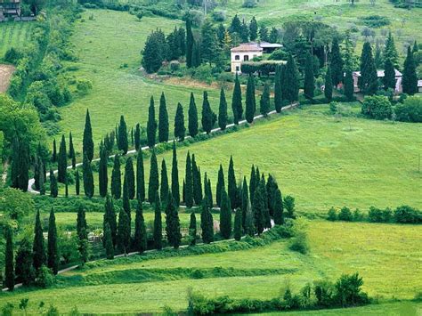 Scenery-Near-Orvieto-Umbria-Italy, house, green, grass, nature, trees, scene, HD wallpaper | Peakpx
