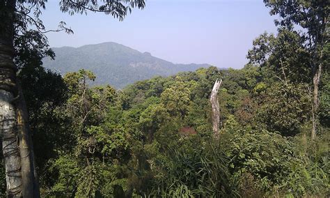 Kaeng Krachan National Park Top Tours and Tips | experitour.com