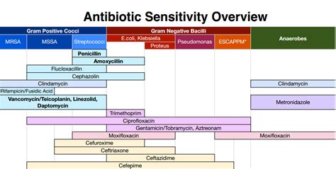 What is narrow spectrum antibiotics