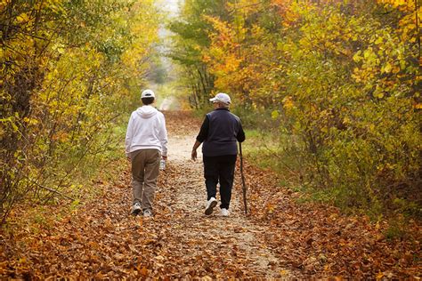 Nature Walks Reduce Symptoms of Depression