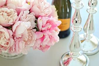 peonies, peony, flowers, pink, spring, summer, bouquet, romantic, bloom ...