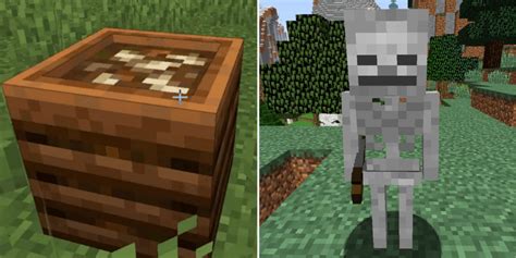 Minecraft: How To Get Bone Meal (& What It's Used For)