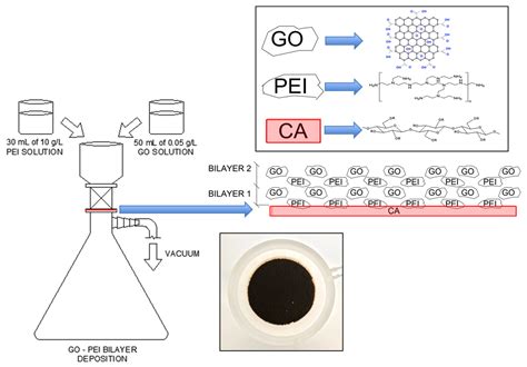 Membranes | Free Full-Text | Modification of Cellulose Acetate Microfiltration Membranes Using ...